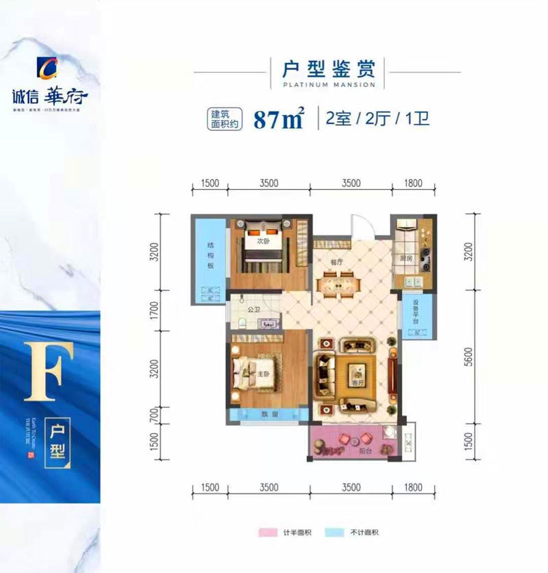 F戶型