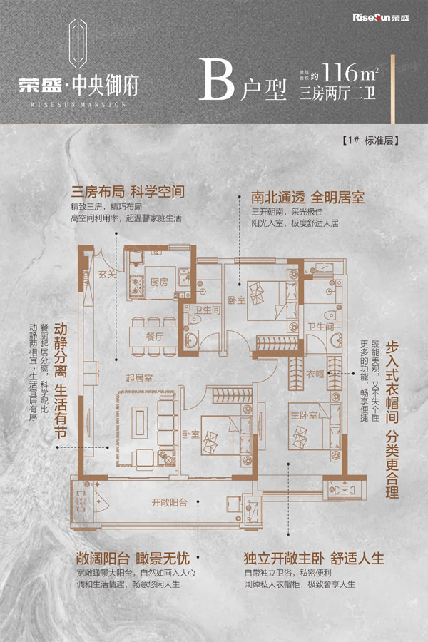 B戶型