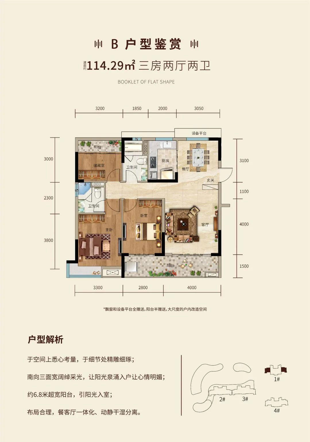 B戶型