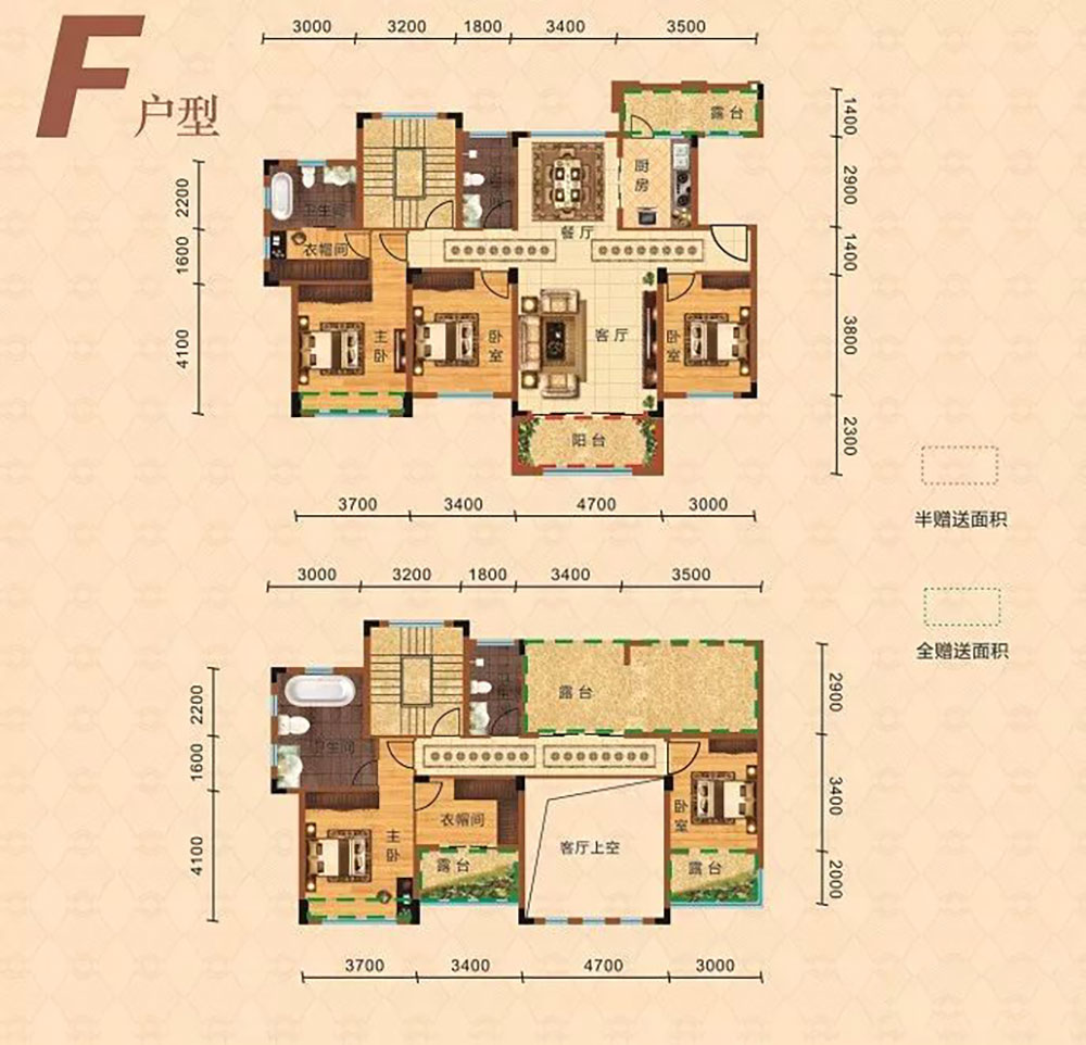 F洋房戶型