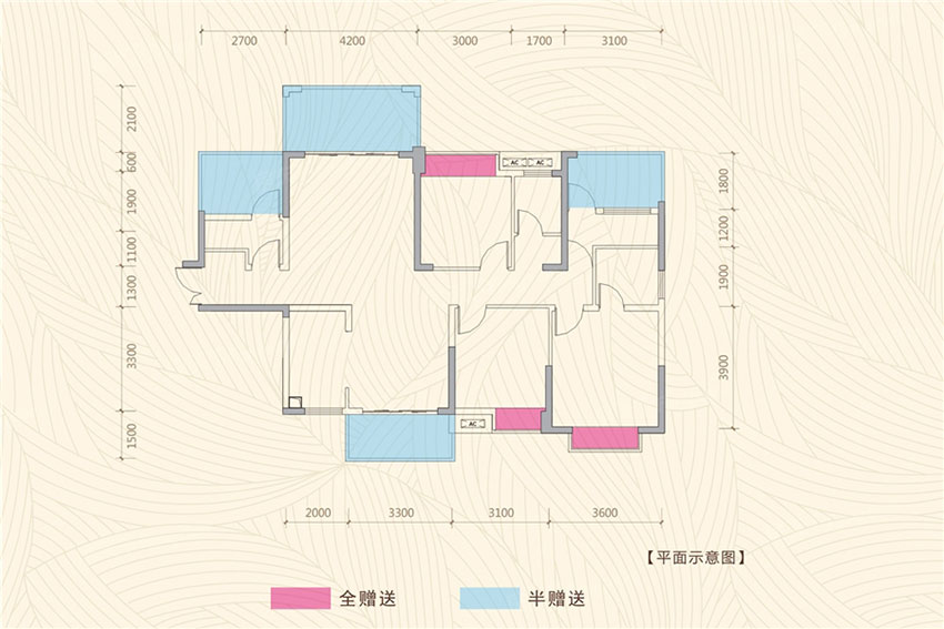 B戶型