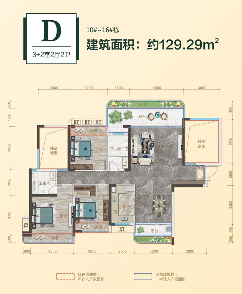 D戶型