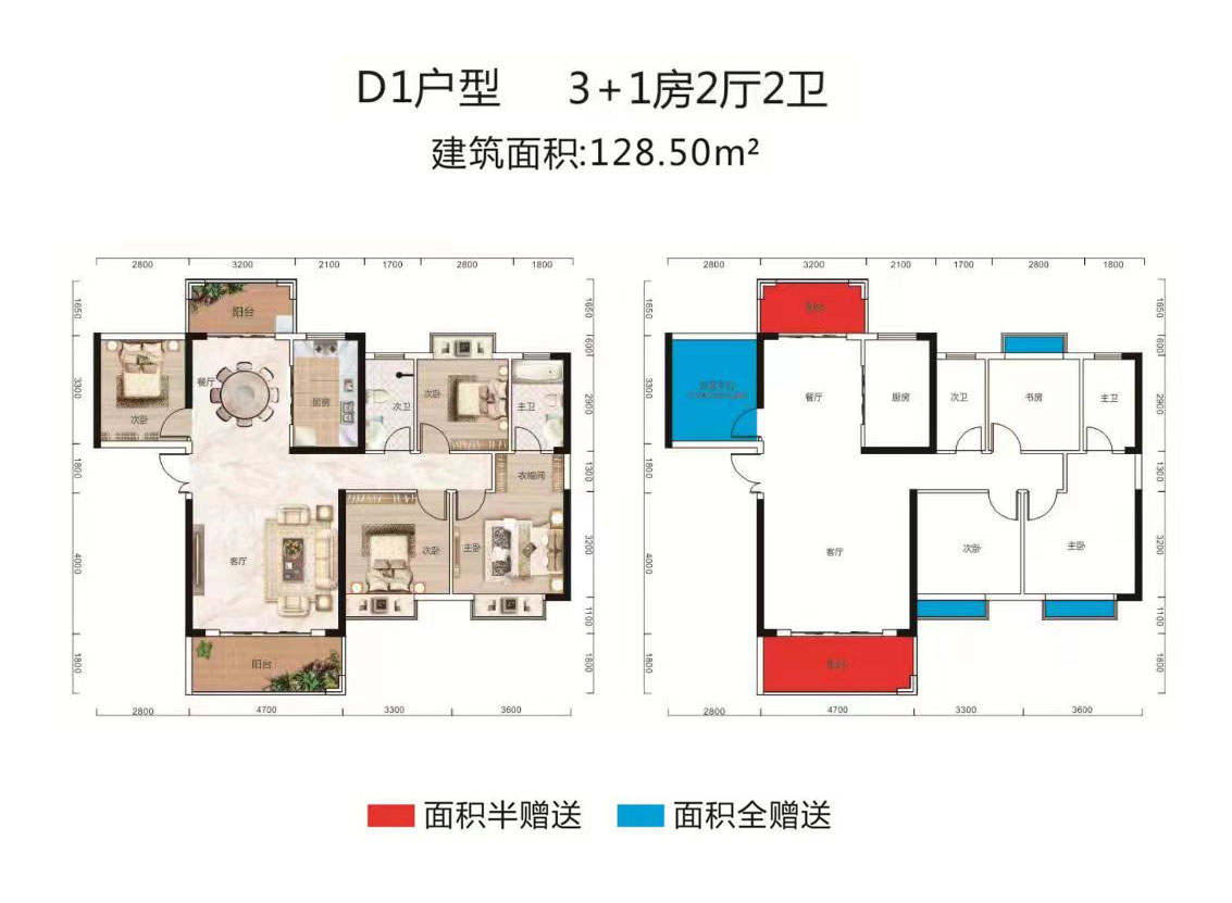 D1戶型