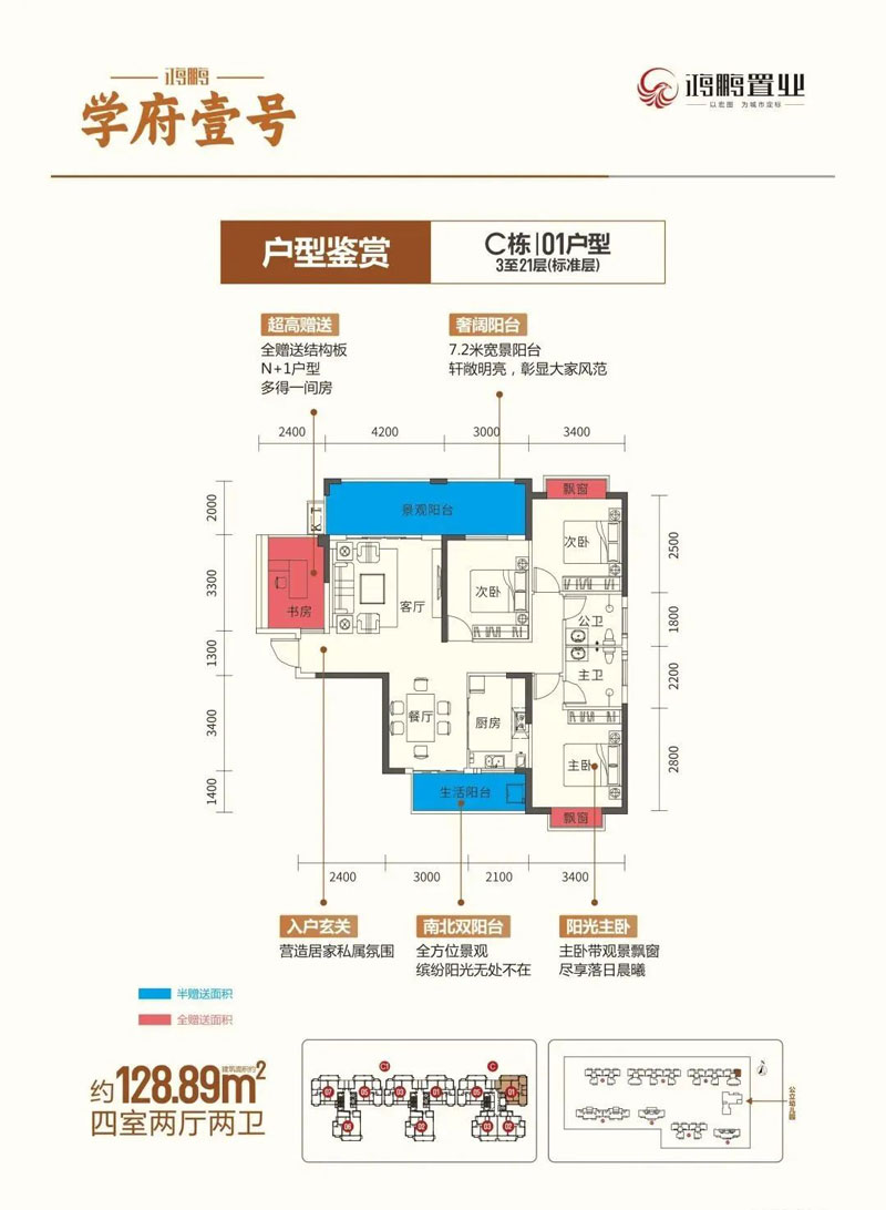 C棟01戶型