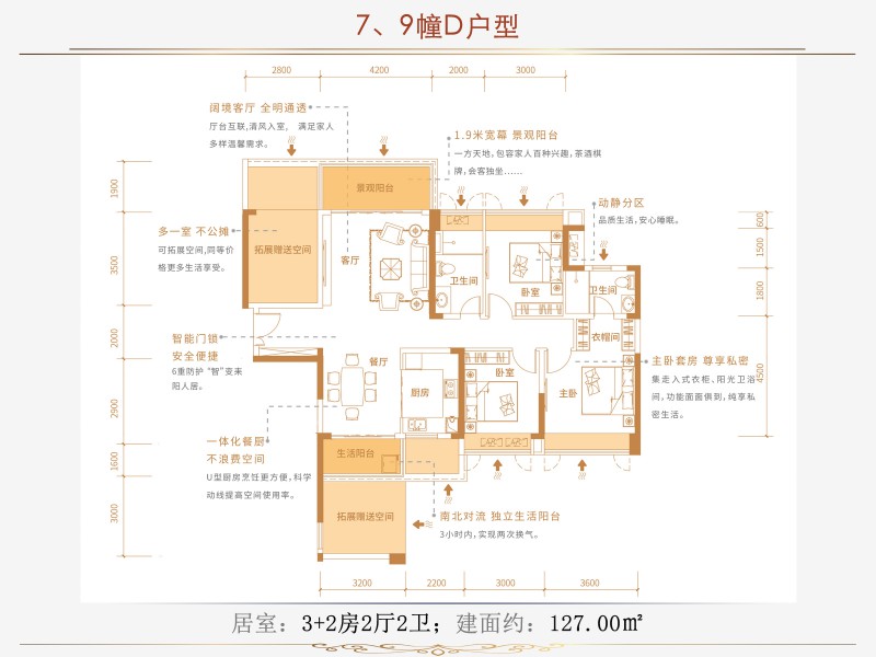 7#/9#D戶型