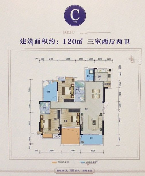 C戶型