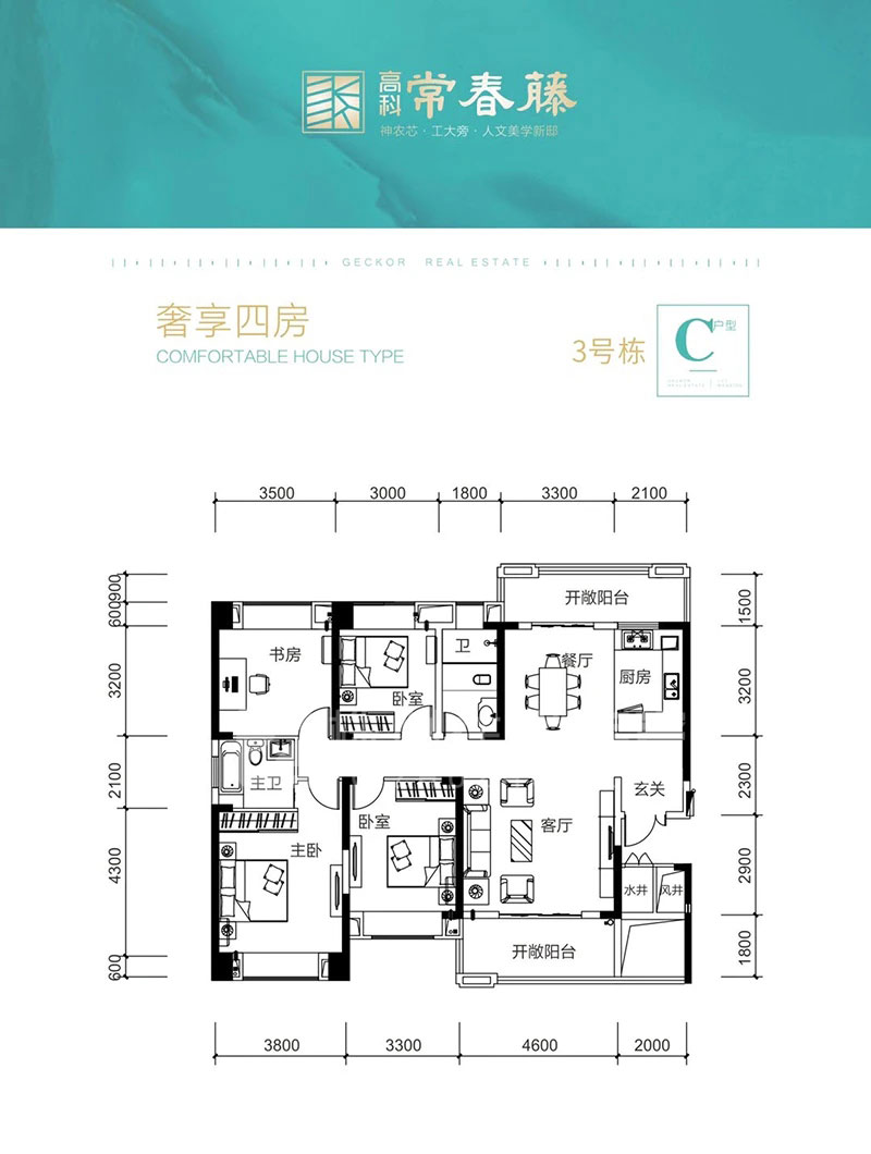 C戶型