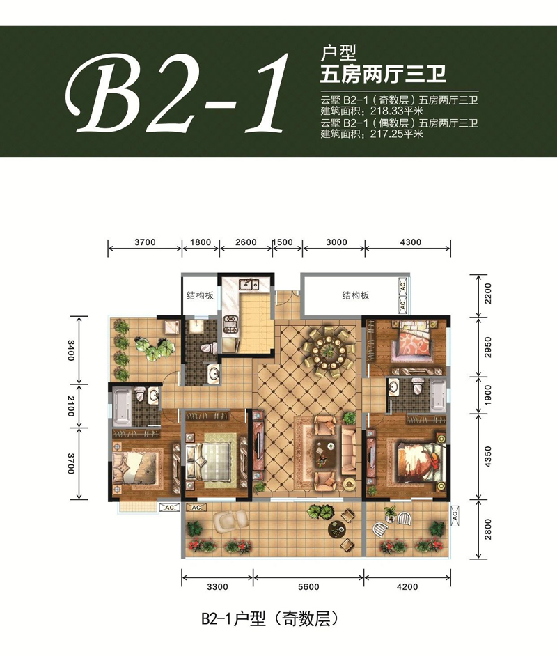 B2-1戶型