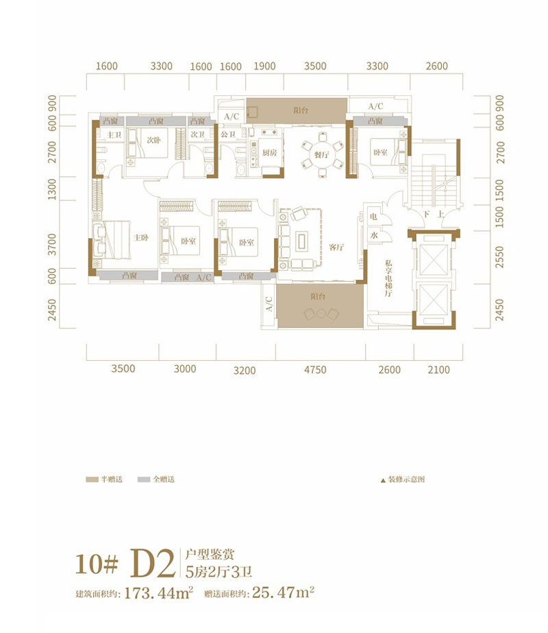 10#D2戶型
