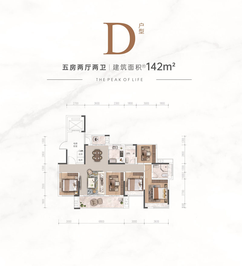 D戶型