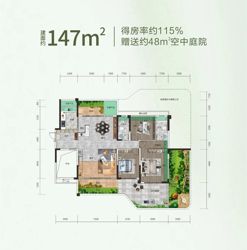A戶型