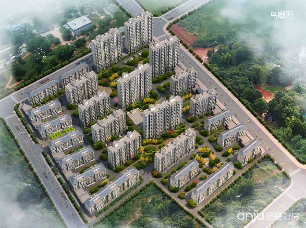 實(shí)景圖