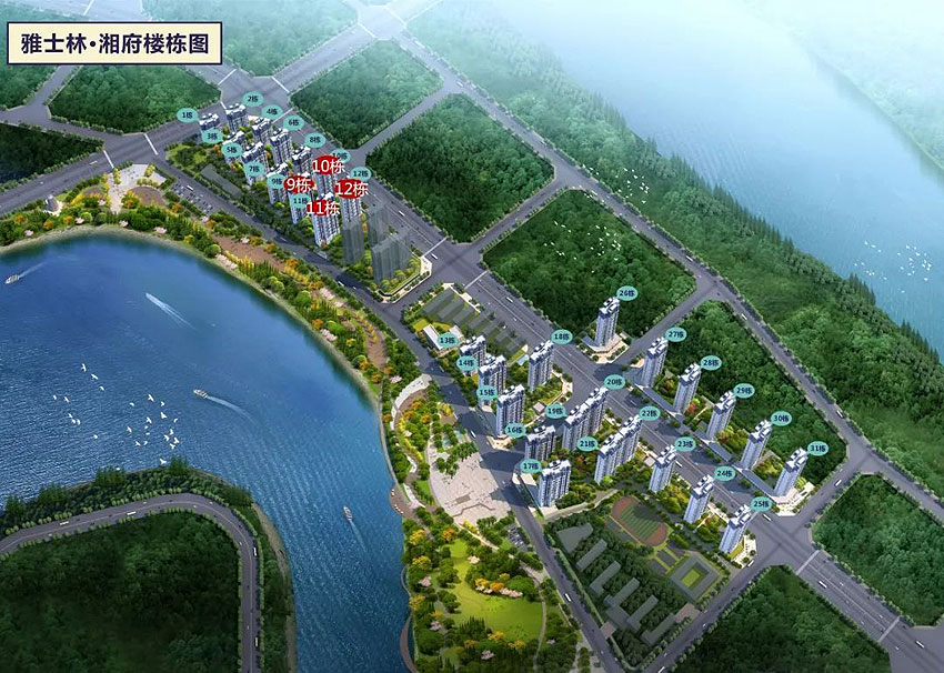 實景圖