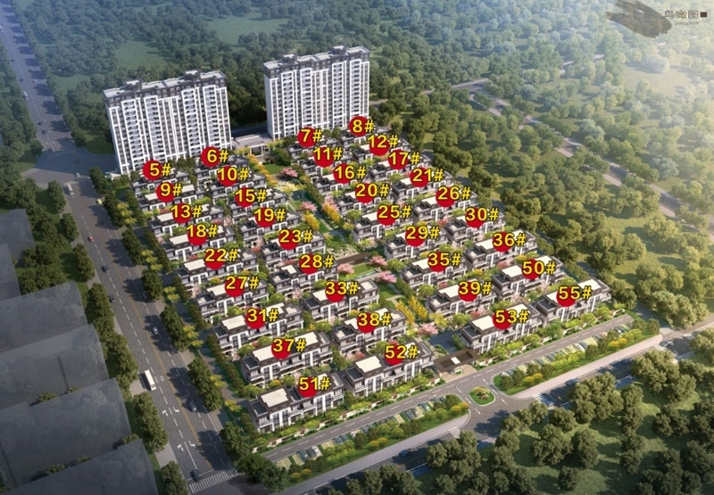 實景圖