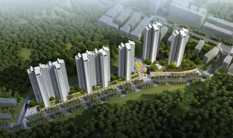 實景圖