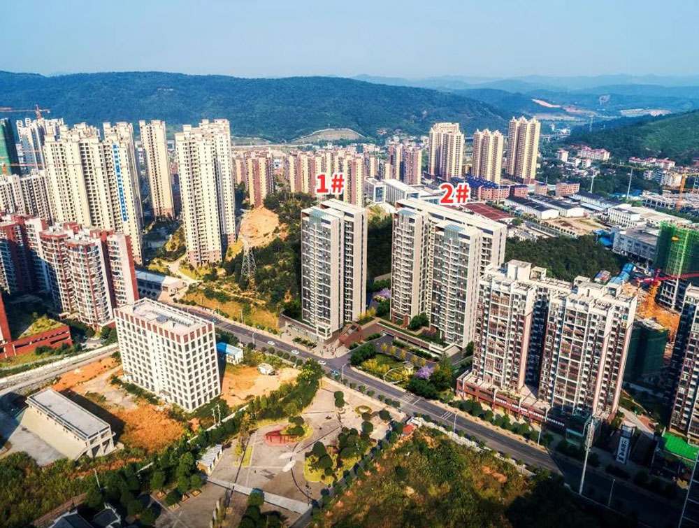 實(shí)景圖