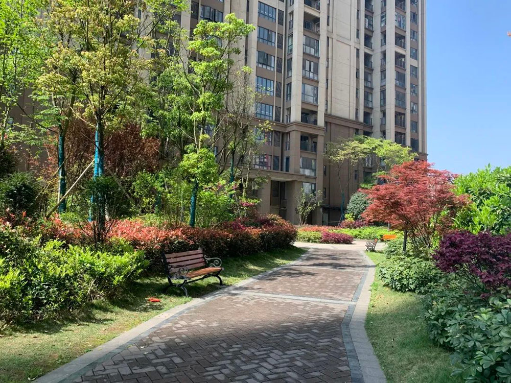 實(shí)景圖