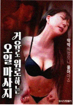 神偷奶爸4
